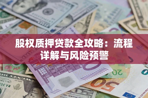 北京股权质押贷款全攻略：流程详解与风险预警