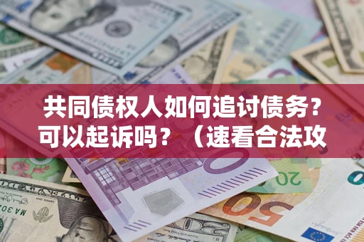 北京共同债权人如何追讨债务？可以起诉吗？（速看合法攻略）
