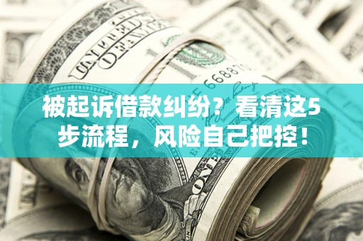 北京被起诉借款纠纷？看清这5步流程，风险自己把控！