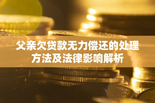 北京父亲欠贷款无力偿还的处理方法及法律影响解析